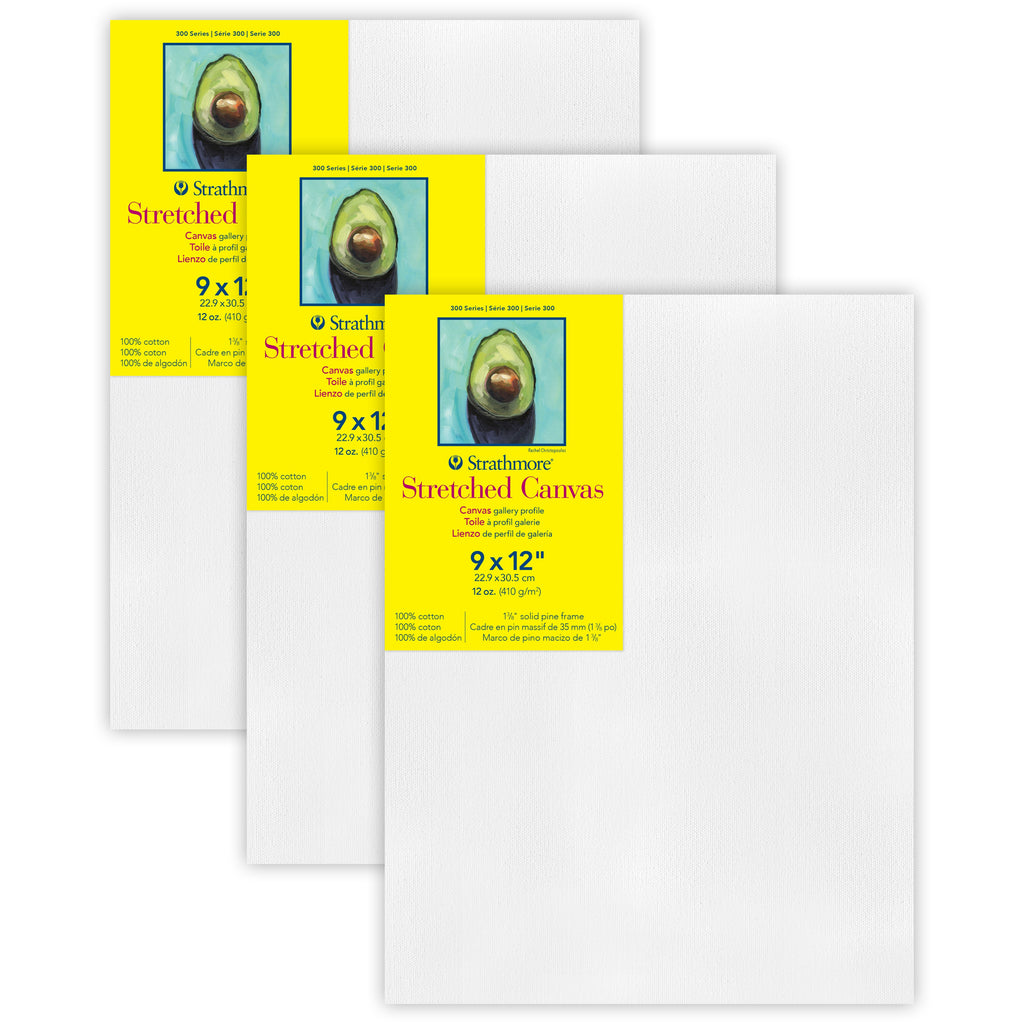 300 Series Gallery Stretched Canvas, 9x12 inch, Pack of 3