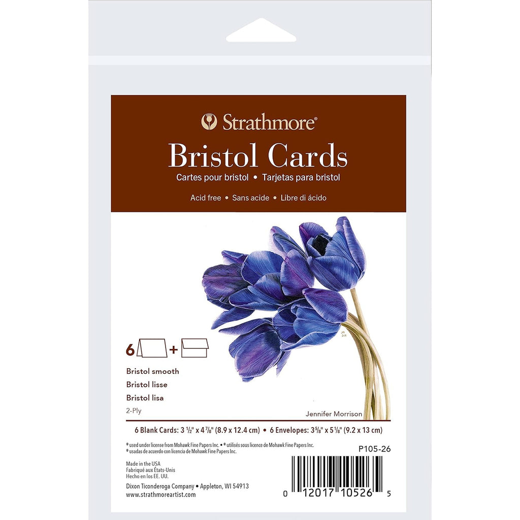 Bristol Cards & Envel 3.5x4.875in 400 Series 6pk