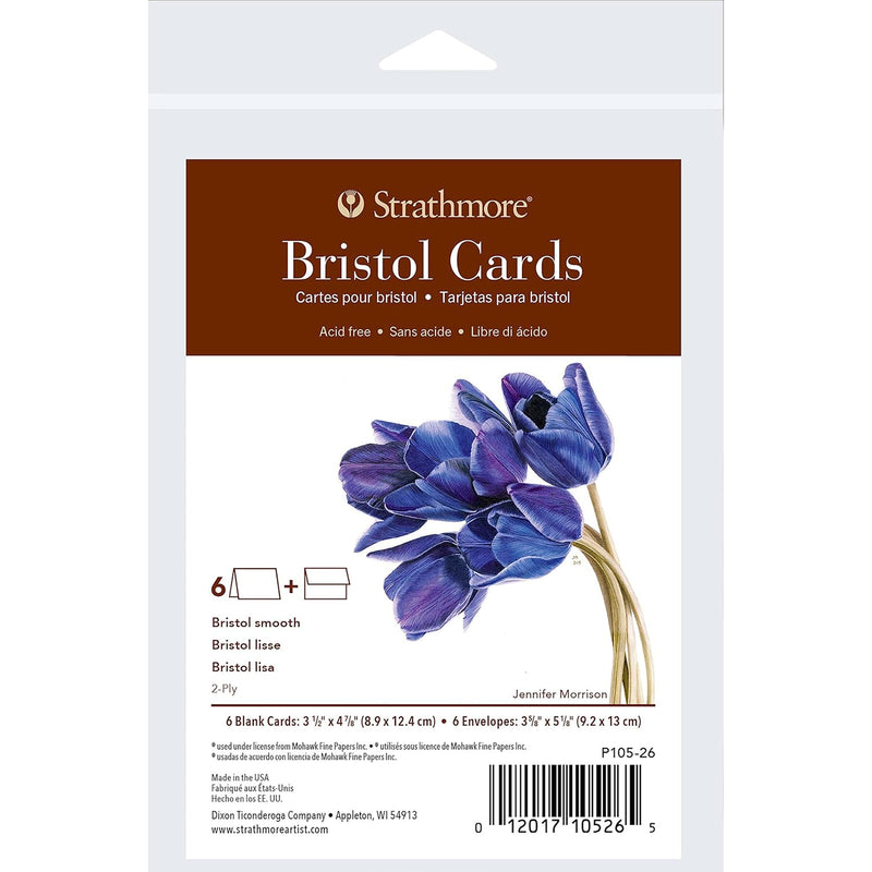 Bristol Cards & Envel 3.5x4.875in 400 Series 6pk