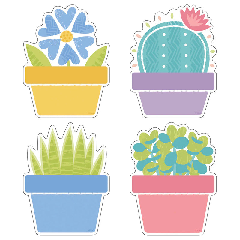Garden Plants Classic Accents® Variety Pack, 36 Per Pack, 3 Packs
