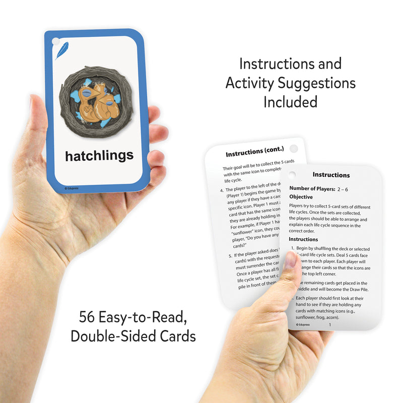 Go Fish: Life Cycles Flash Cards, 6 Packs