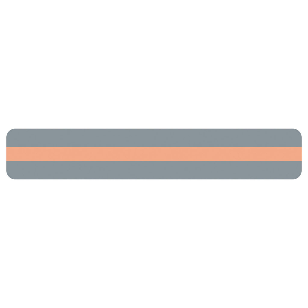 Reading Guide Strips Peach