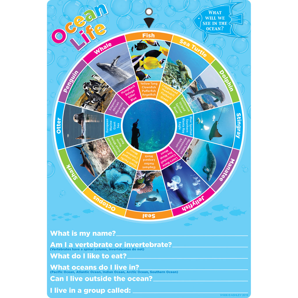 Smart Wheel Ocean Animals