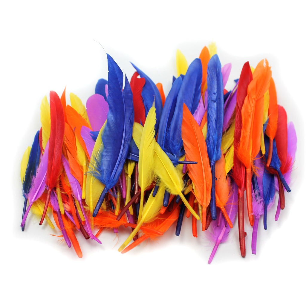 Duck Quills Feathers 14 Gram Bag
