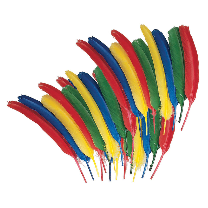 Quill Feathers 12in Asst Color 24pk
