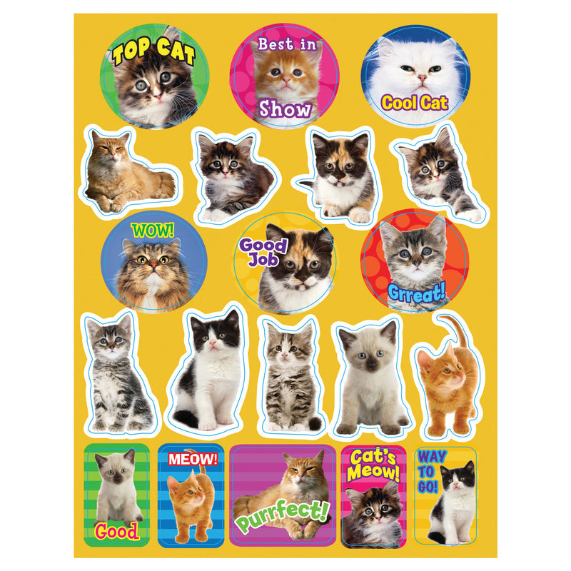 Motivational Cats Theme Stickers