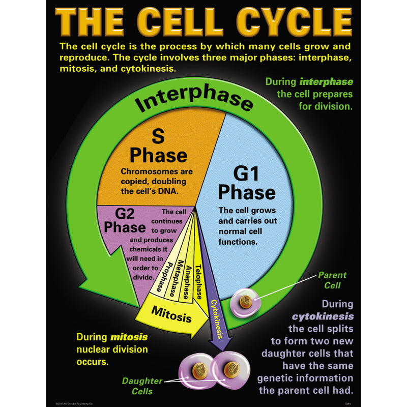 Cells Teaching Poster Set