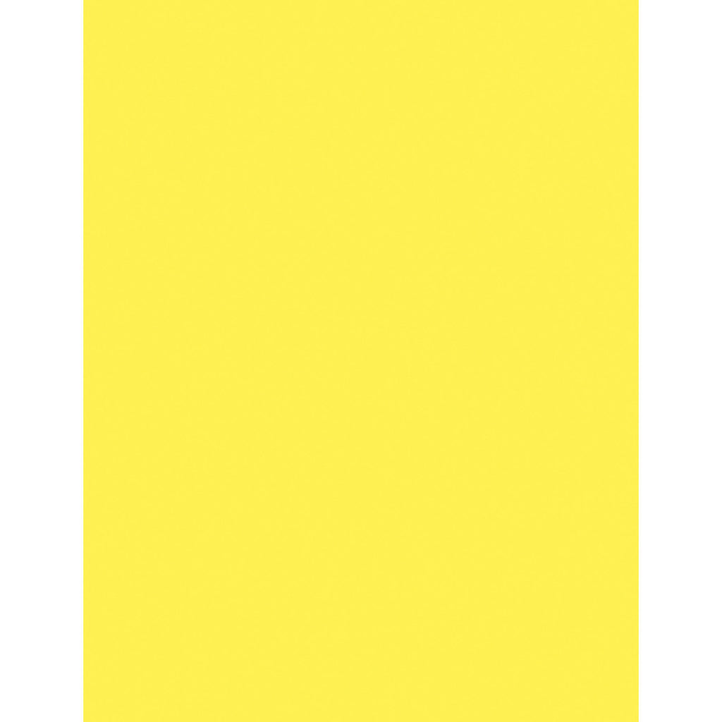 500ct Ltr Ylw Multi Purpose Paper