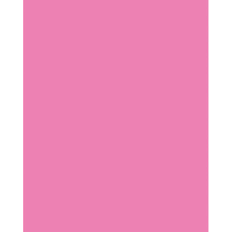 Poster Board Neon Pink 25-ct