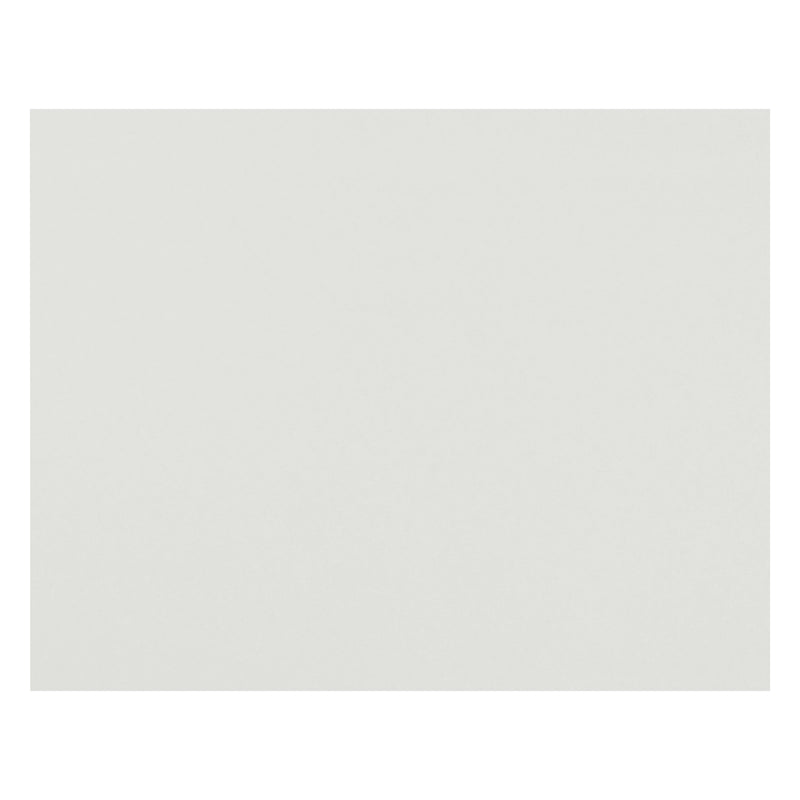 4-Ply Railroad Board, White, 22" x 28", 1 Sheet