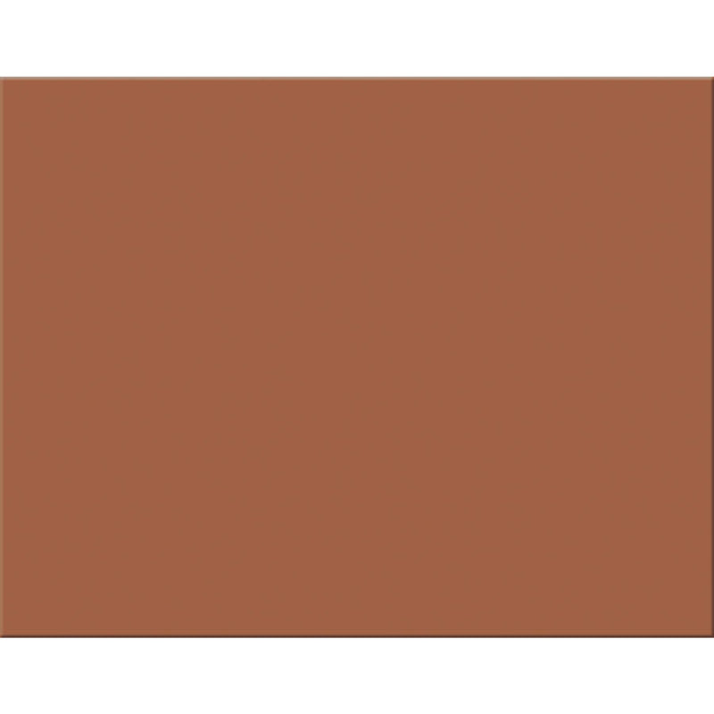 4 Ply Rr Poster Board 25 Sht Brown