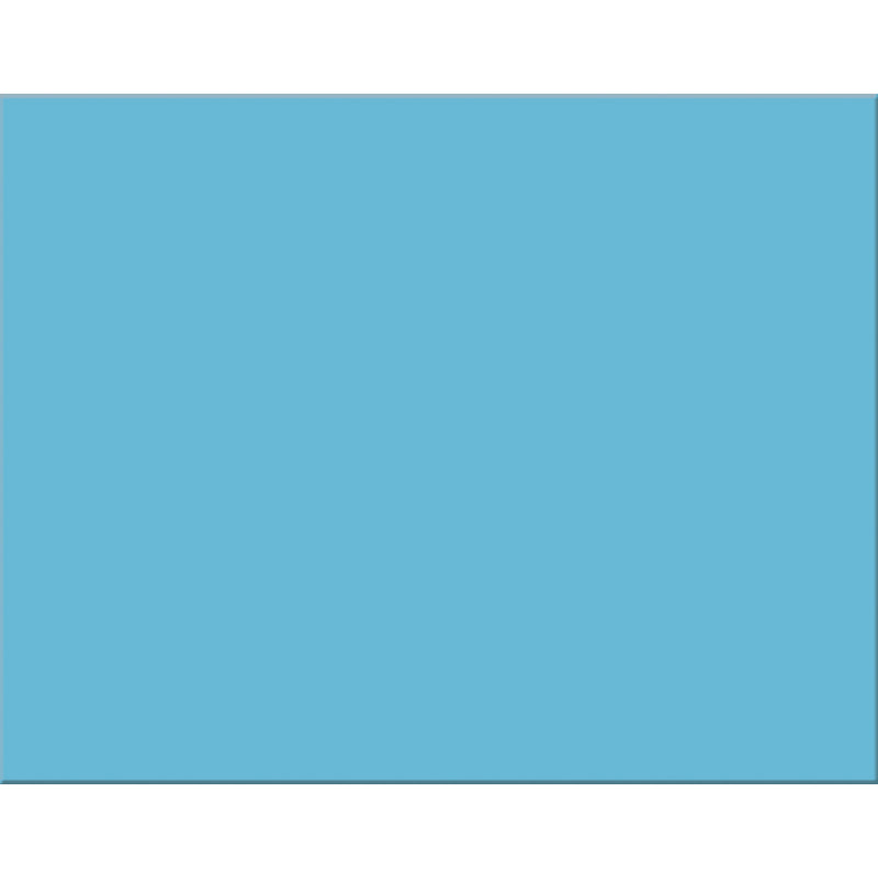 Poster Board 25 Sheet Light Blue 4 Ply 22x28