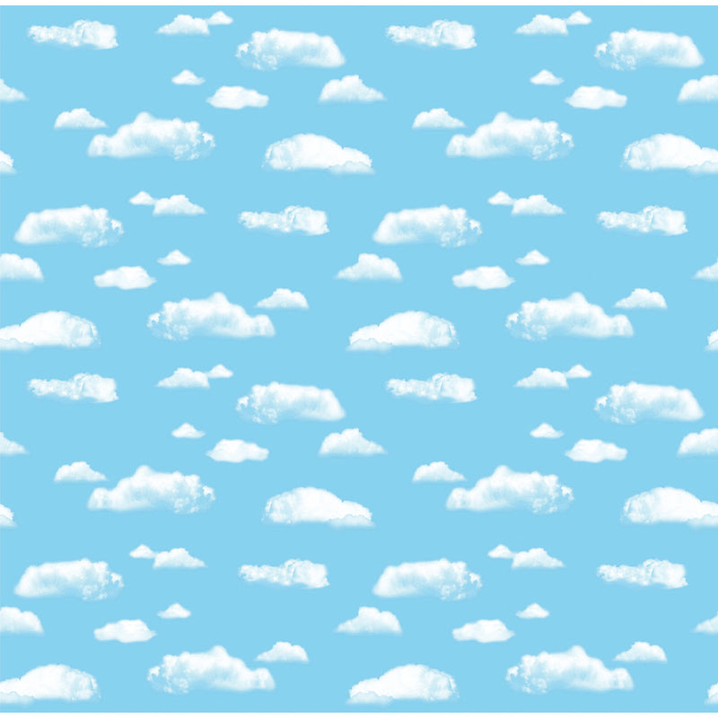 Fadeless 48 X 50 Roll Cloud Boxed