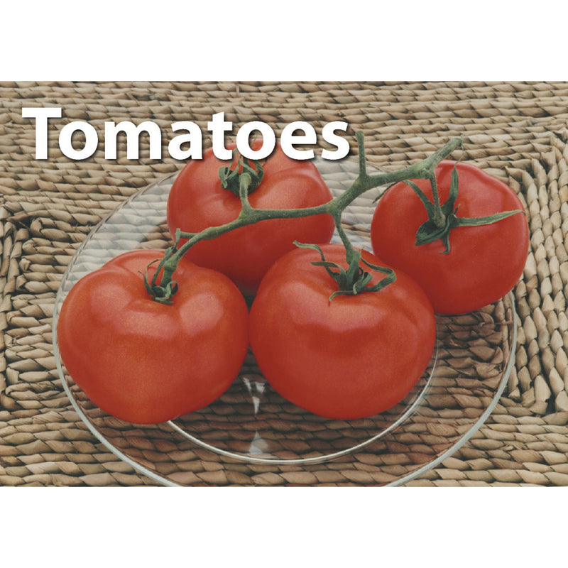 Fruit & Vegetables Photographic Memory Matching Game