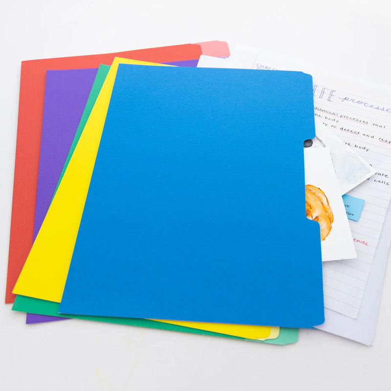 100/bx File Folder Letter Color 1/3 Tab Cut