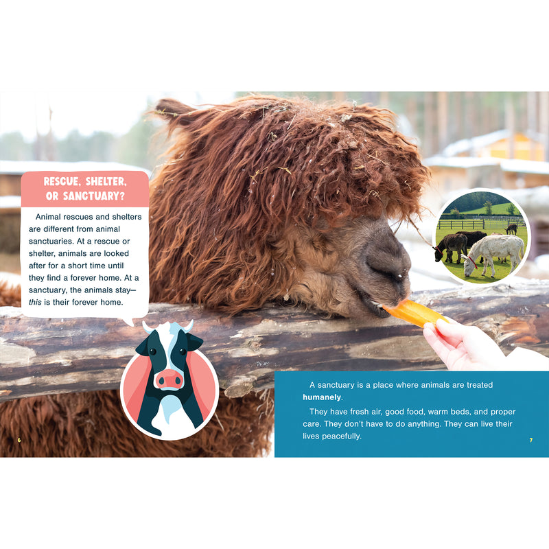Farm Animal Sanctuaries