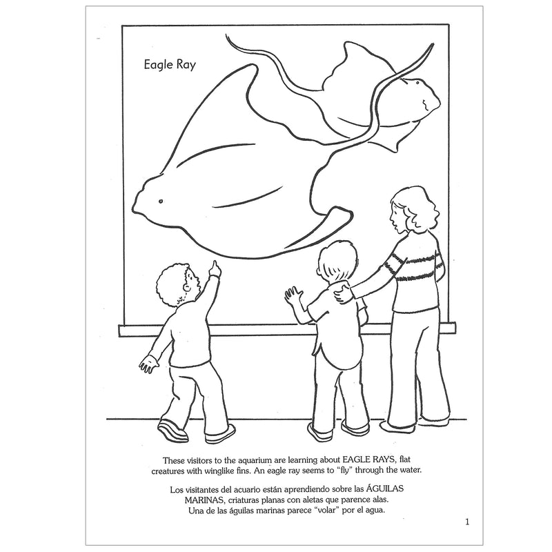 At The Aquarium Coloring Book, Pack of 6