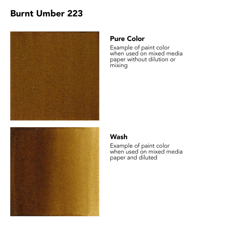 Fw Acrylic Ink Burnt Umber 29.5ml Daler-rowney