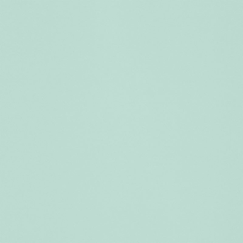 Schoolgirl Style Bulletin Board Paper, 48" x 50', Mint to Be