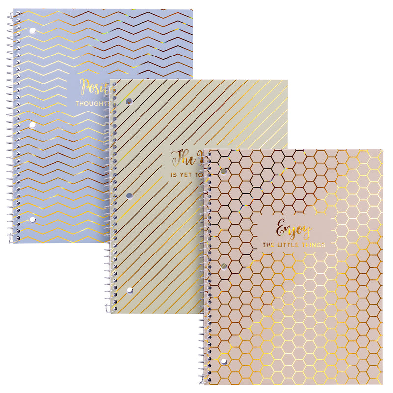 Haze 1-subject Notebook 3pk