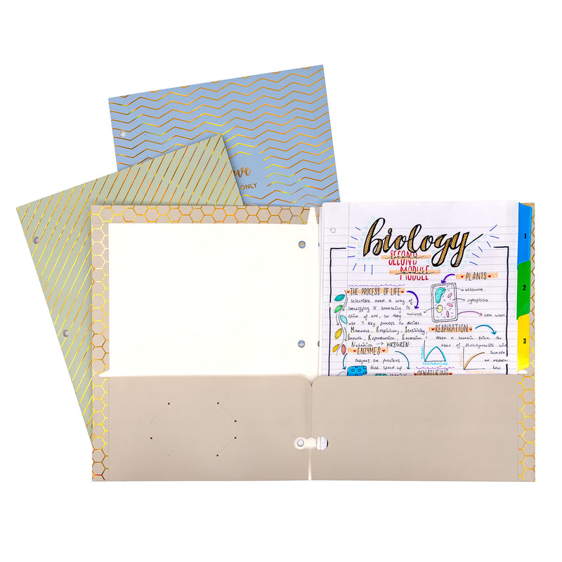 Haze 2-pocket Portfolio Letter 6pk