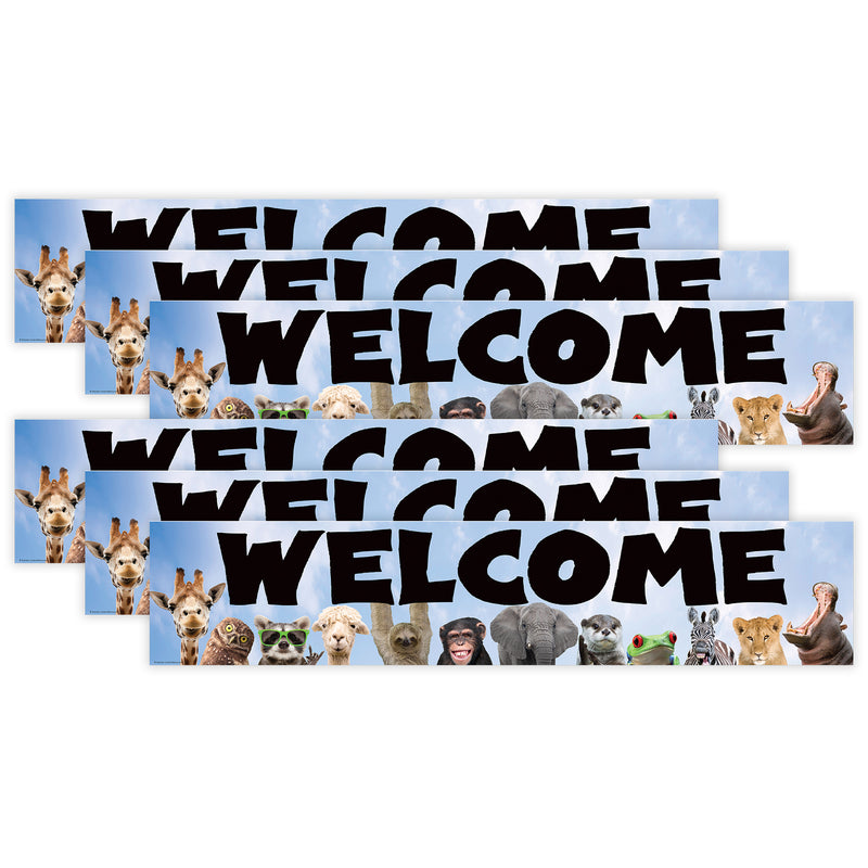 Go Wild Animals Welcome Banner, 8" x 39", Pack of 6