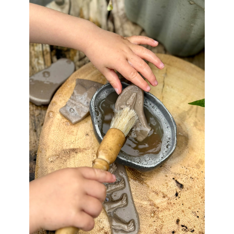 Pliosaur & Stegosaurus Dig & Discover