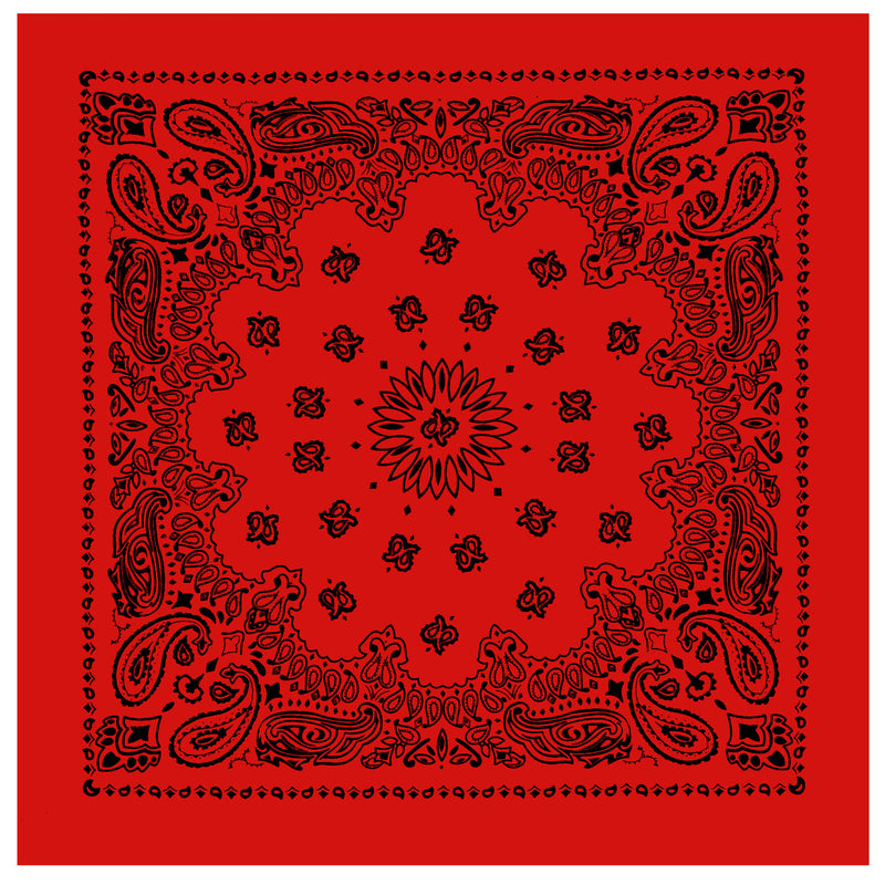 Rothco Trainmen Paisley Bandana - 22" X 22"