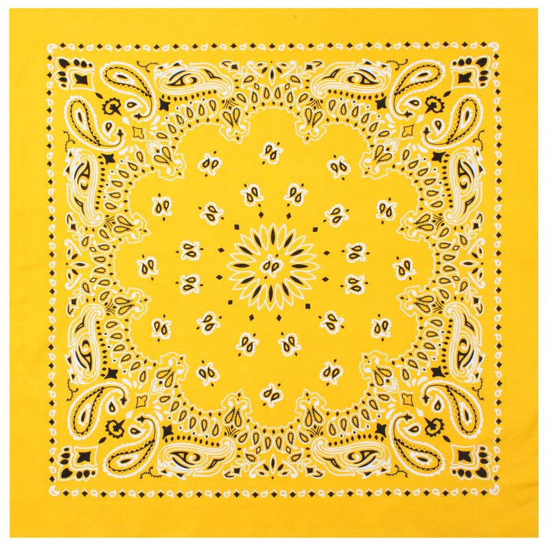 Rothco Trainmen Paisley Bandana - 22" X 22"