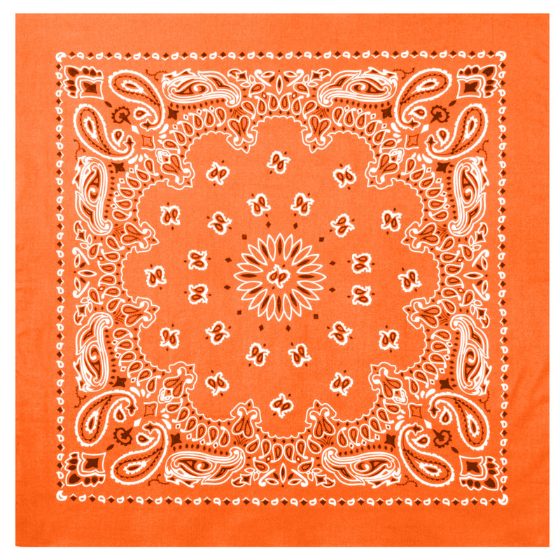 Rothco Trainmen Paisley Bandana - 22" X 22"