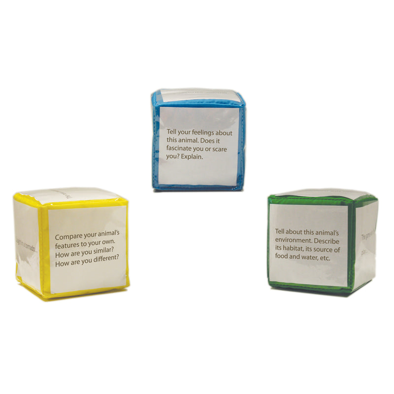 Differentiated Instruction Cubes 3 Pk