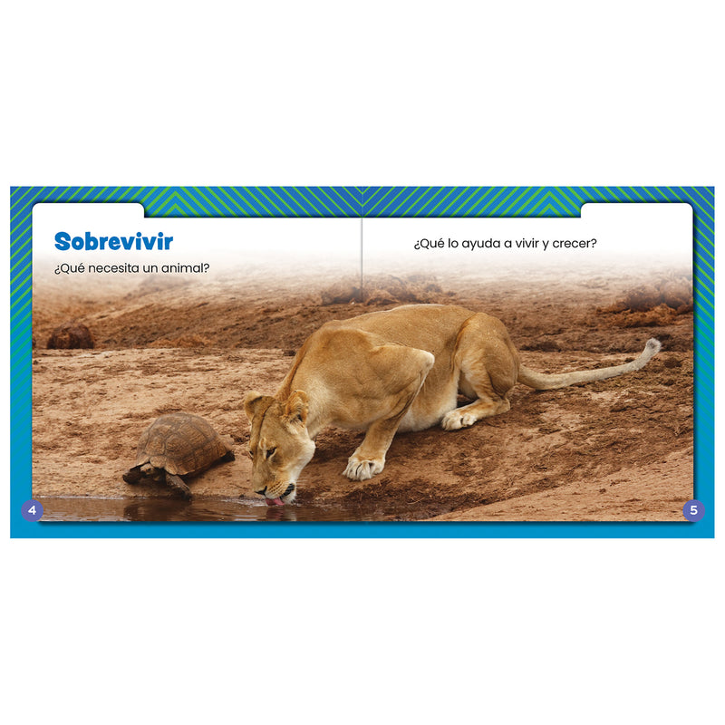 Las necesidades de los animales