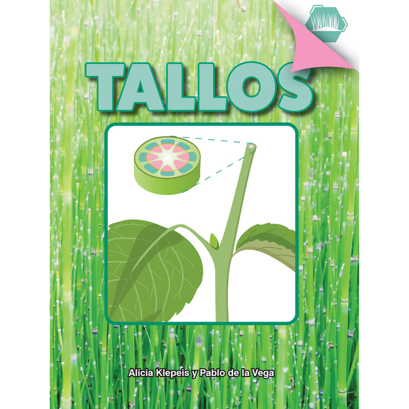 Tallos Hardcover Spanish Book