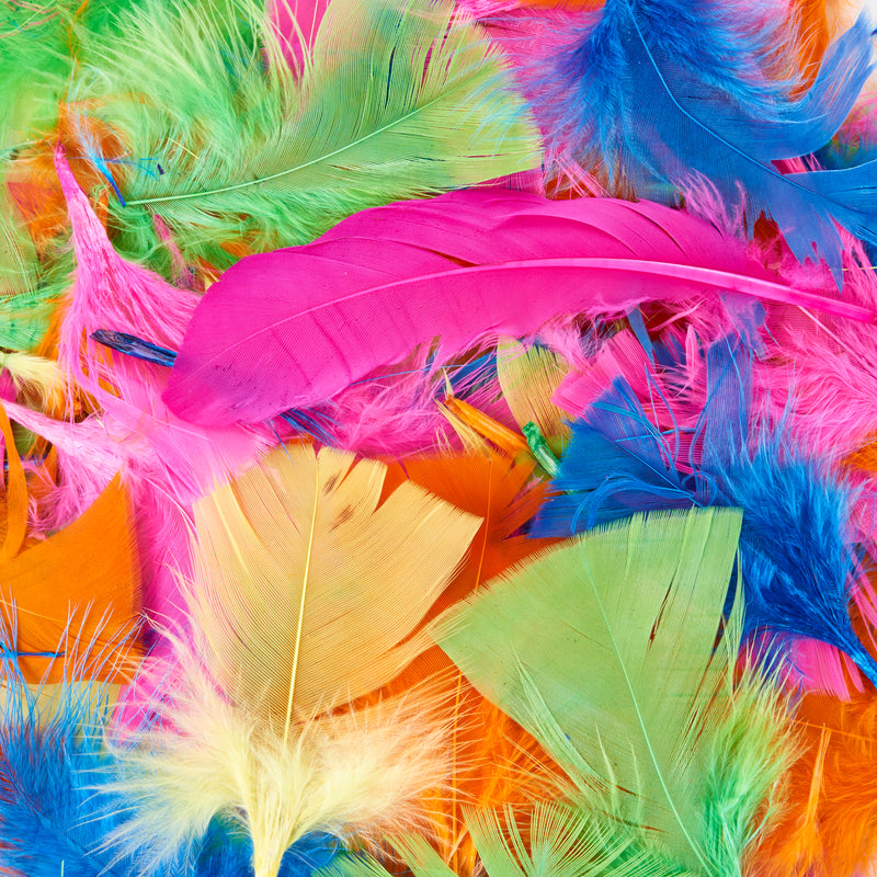 Turkey Feathers Hot Colors 14g Bag