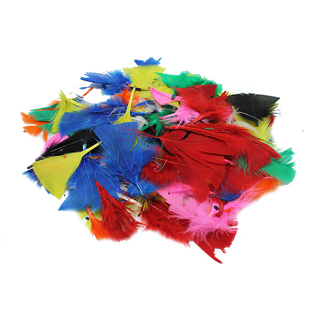 Turkey Feathers, Bright Colors, 14 Grams Per Pack, 12 Packs