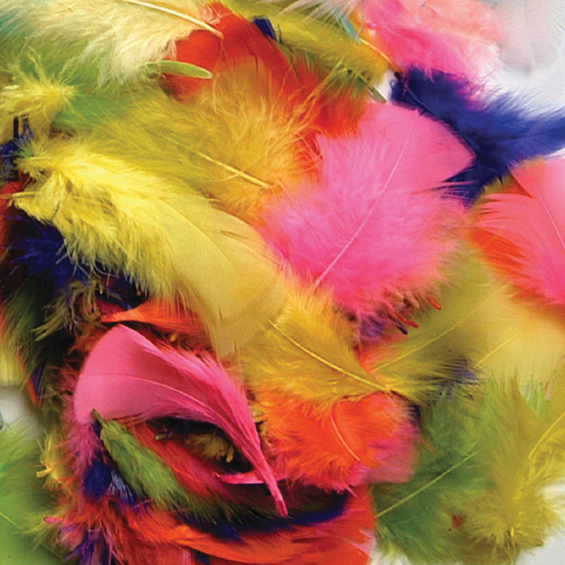 Feathers Bright Hues 14 Grams Turkey Plummage