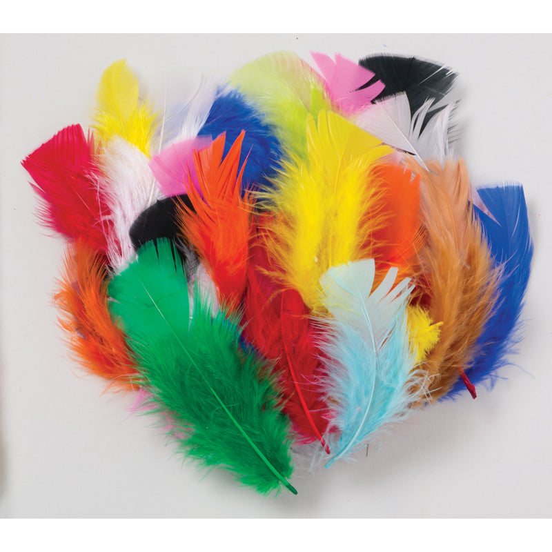 Feathers Bright Hues 1 Oz Turkey Plummage
