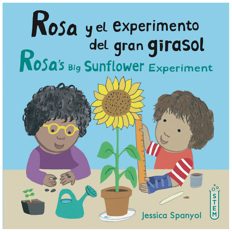 Workshop-El Taller De Rosa Books, Set of 4