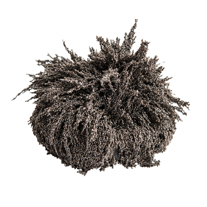 Jar Iron Filings 12 Oz