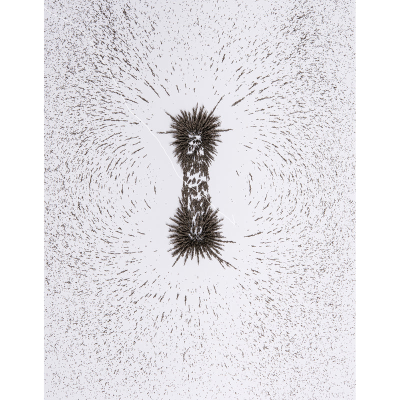 Jar Iron Filings 12 Oz