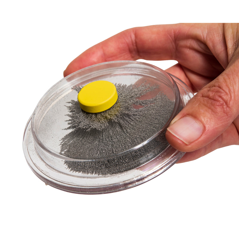 Magnetic Field Viewing