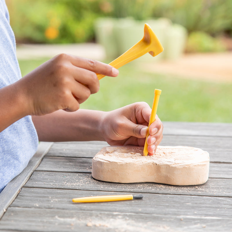 Geosafari Jr Fossil Excavation Kit