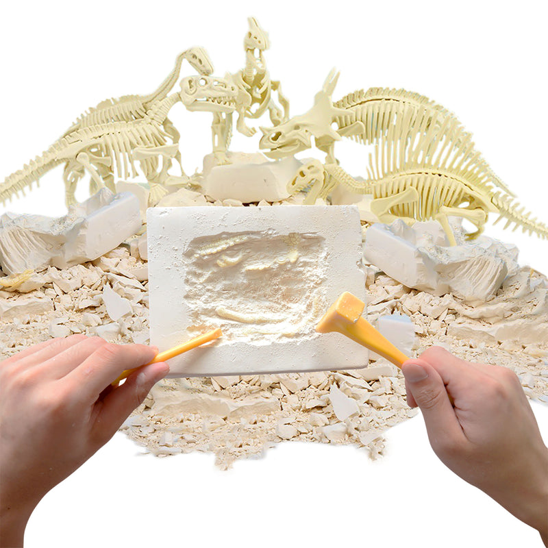 Paleo Hunter™ Dig Kit for STEAM Education - Triceratops Rex