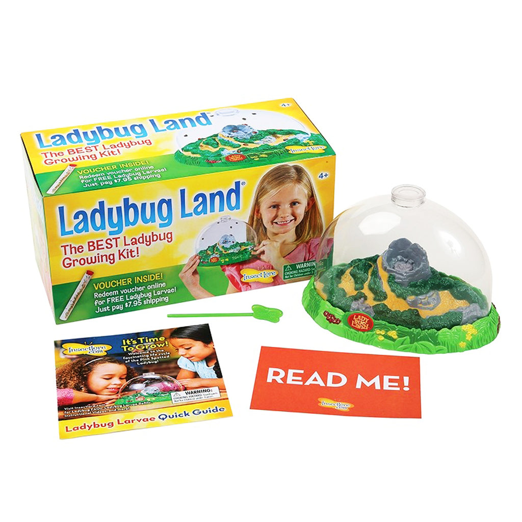 Ladybug Land