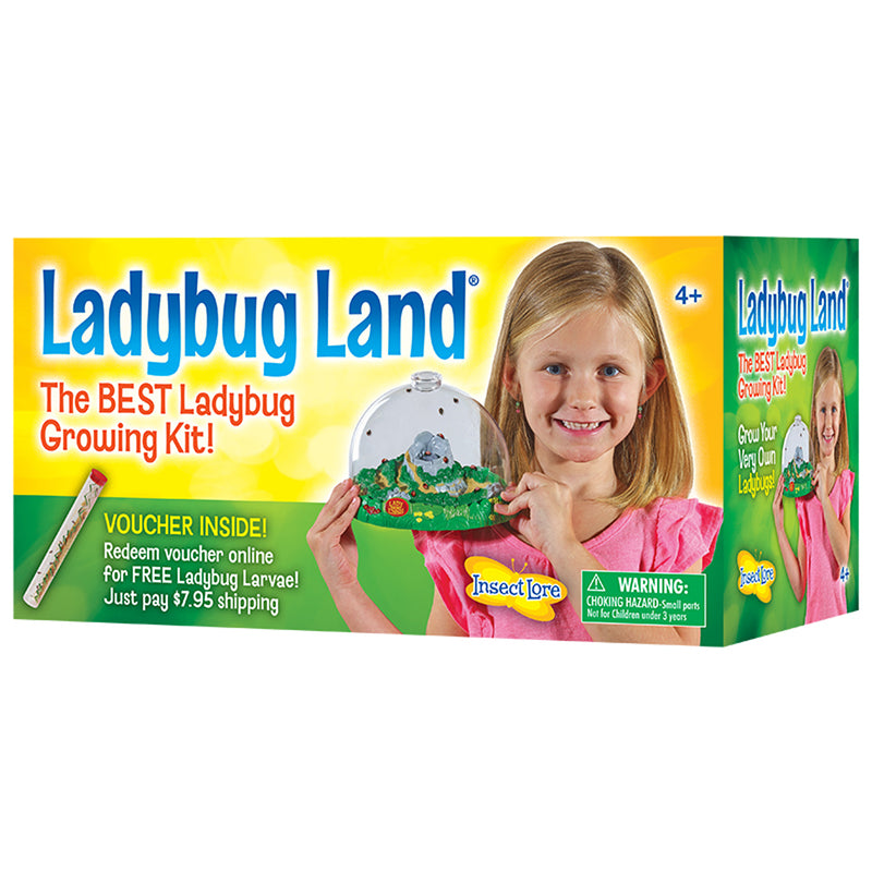 Ladybug Land