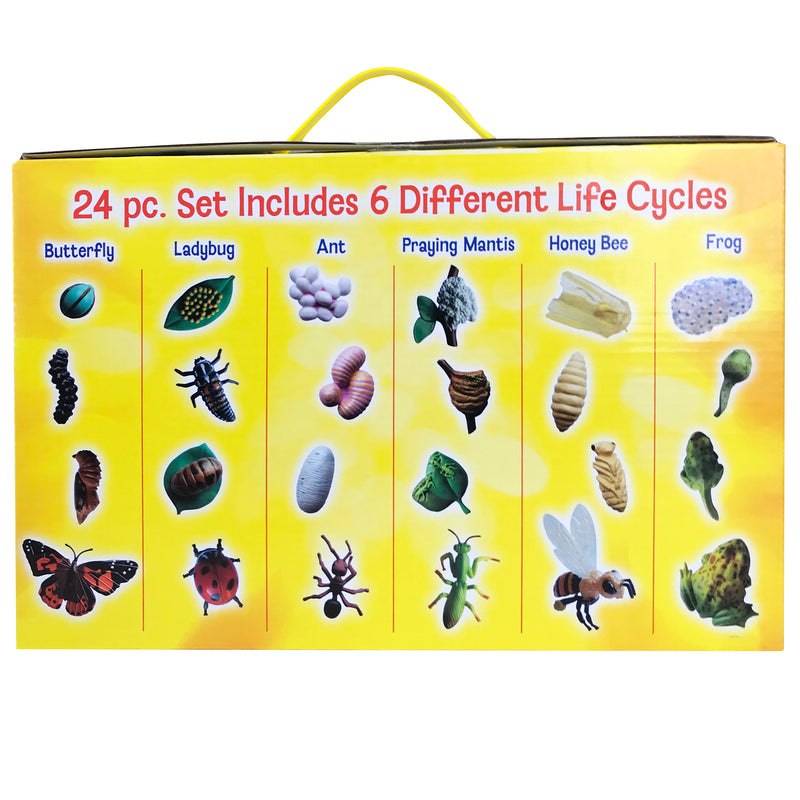 Life Cycle Figurines 24pc Set