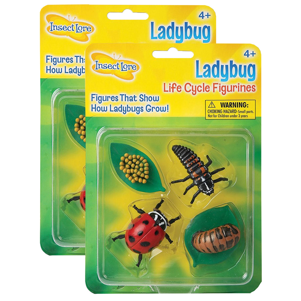 Ladybug Life Cycle Stages, 4 Per Set, 2 Sets
