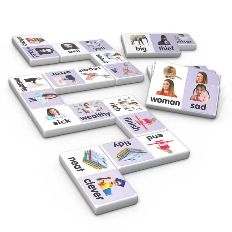 Synonyms Match & Learn Dominoes