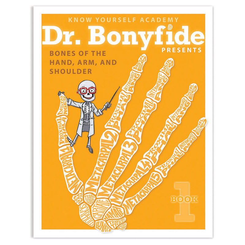 206 Bones Of The Human Body 4 Book Set Dr Bonyfide