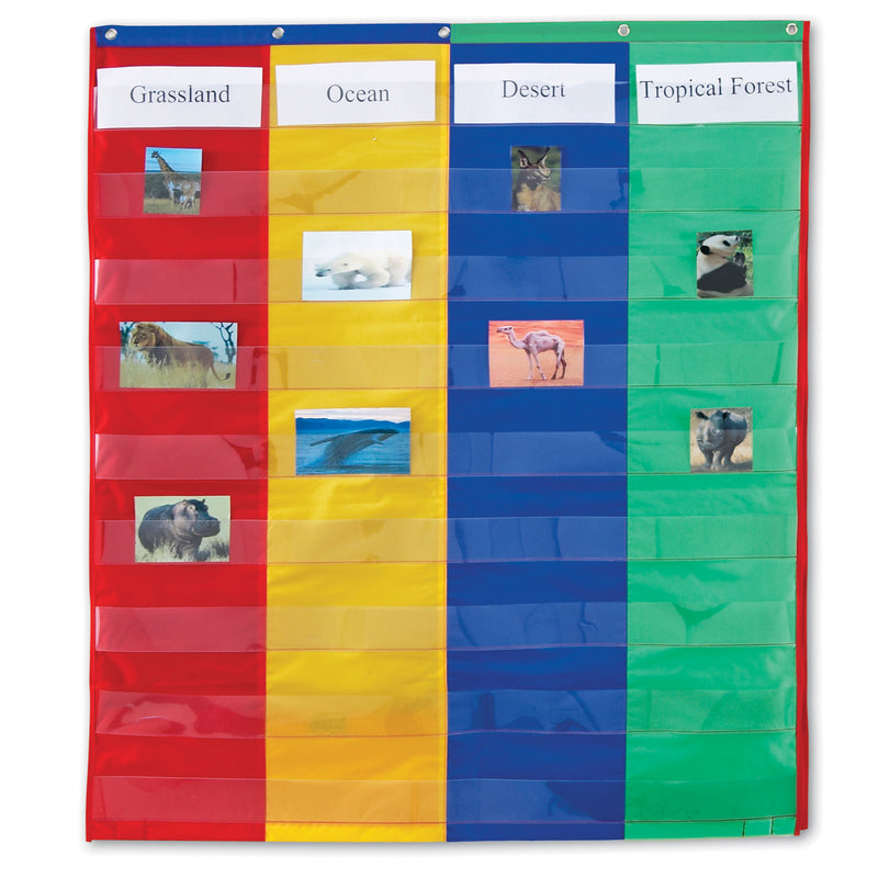 2 And 4 Column Double-sided Pocket Chart